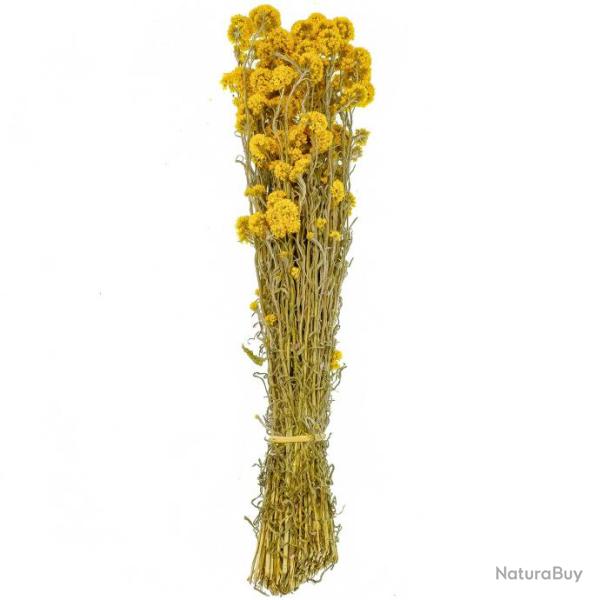 Bouquet fleurs s�ch�es sanfordii - 55 cm