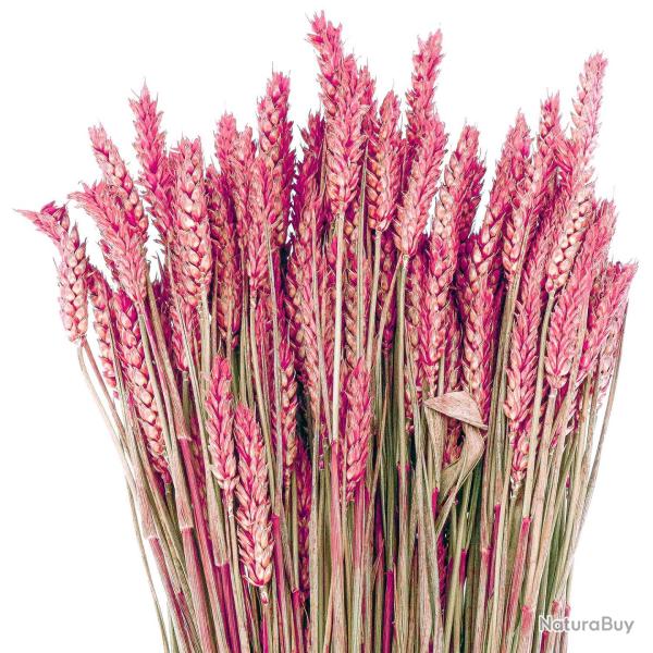 Bouquet sch de bl triticum rouge - 70 cm