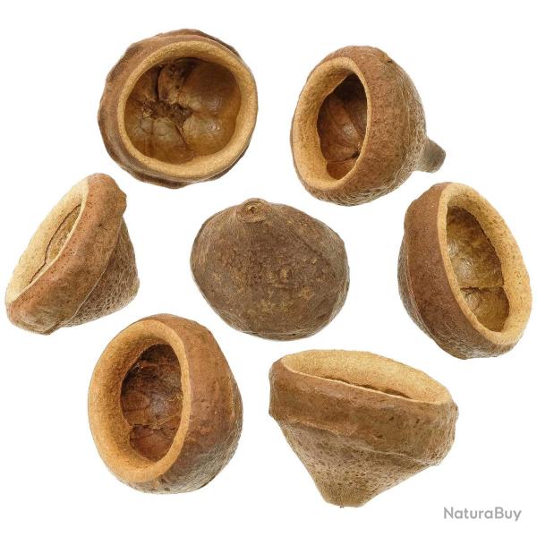 Chapeuzinho - 6 � 8 cm - Lot de 5