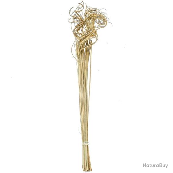 Branches curly ting ting - 70 cm