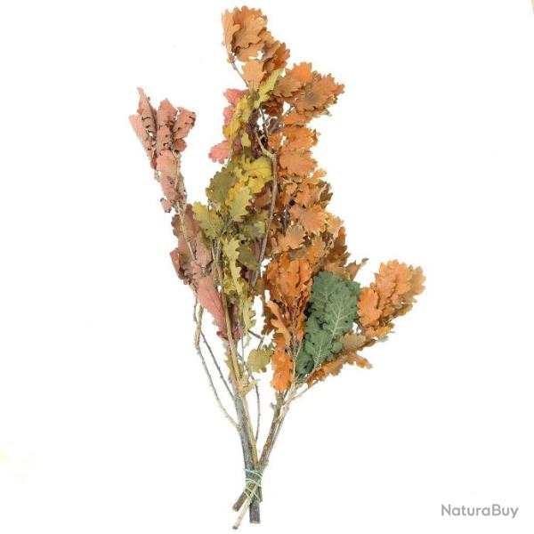 Feuillage de ch�ne stabilis� - 60 � 70 cm