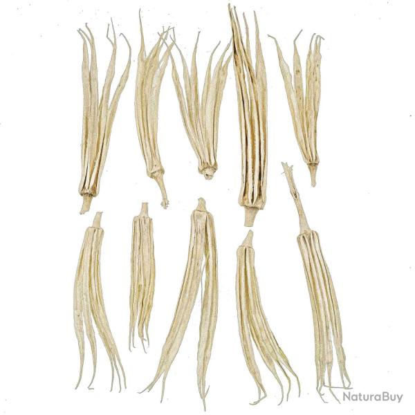 Gombo blanchi d�co - Lot de 10