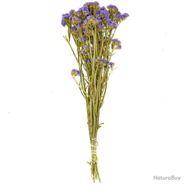 Bouquet de fleurs s�ch�es statice sinuata violet - 45 cm