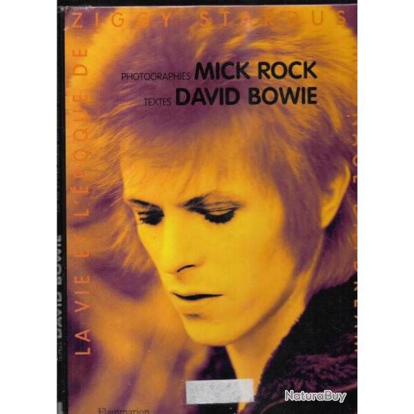 moonage daydream la vie et l'�poque de ziggy stardust , david bowie , rock,