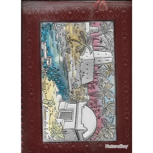 album vierge genre souvenir d'alg�rie , palmeraie dans le d�sert