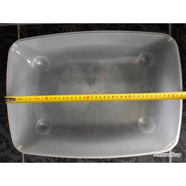 Liti�re chaton, chat