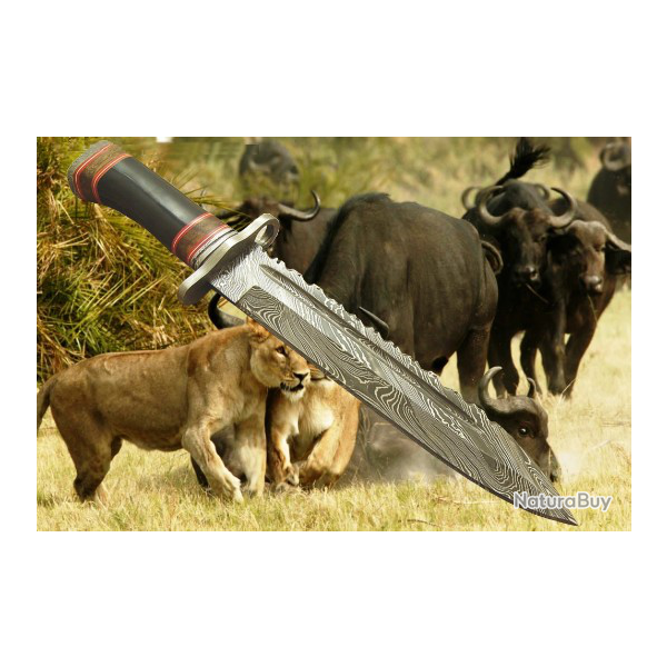 COLLECTION 2019 LAME  DAMAS CHASSE ( Manche corne de buffle et entretoise laiton) (2)