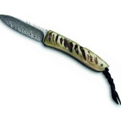 COUTEAU LIONSTEEL OPERA CORNE DE BELIER DAMAS