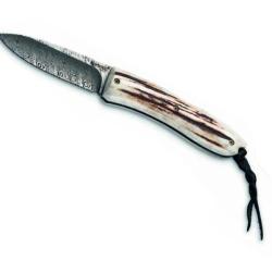 COUTEAU LIONSTEEL OPERA CERF DAMAS