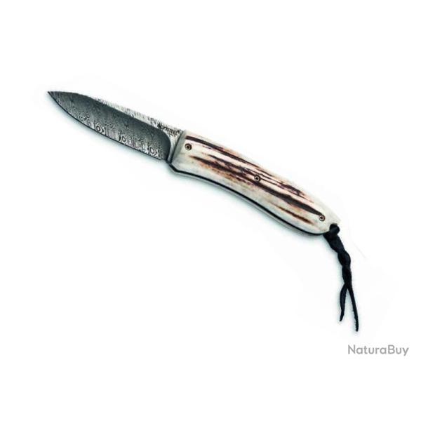 COUTEAU LIONSTEEL OPERA CERF DAMAS