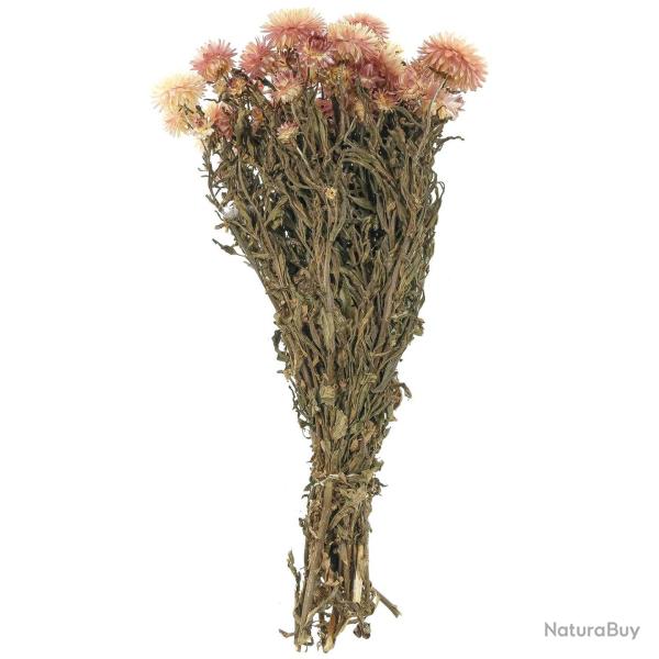 Bouquet fleurs s�ch�es h�lichrysum rose (immortelles) - 45 cm