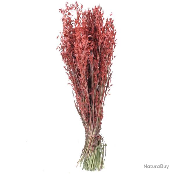 Bouquet fleurs s�ch�es avoine rouge - 70 cm