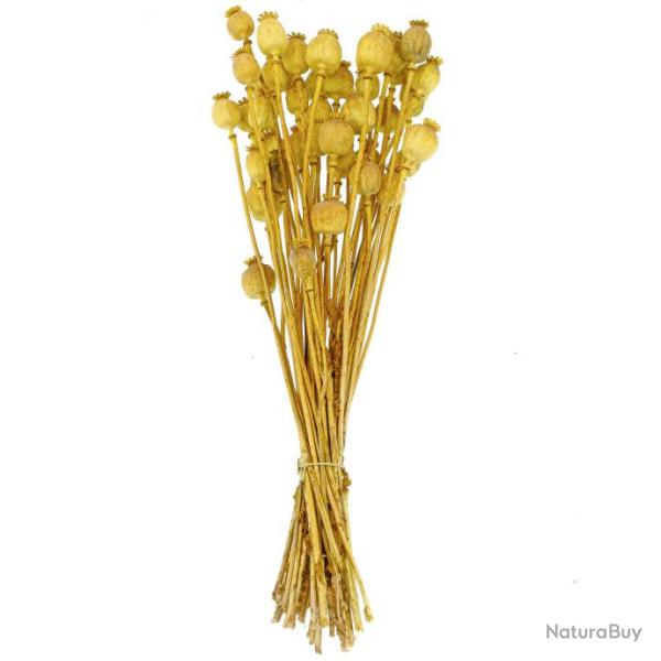 Bouquet fleurs s�ch�es pavot jaune - 60 cm