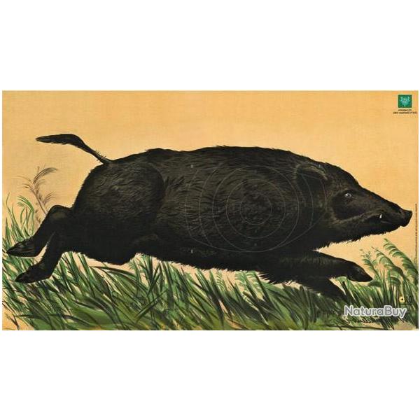 Cible carton droite sanglier courant