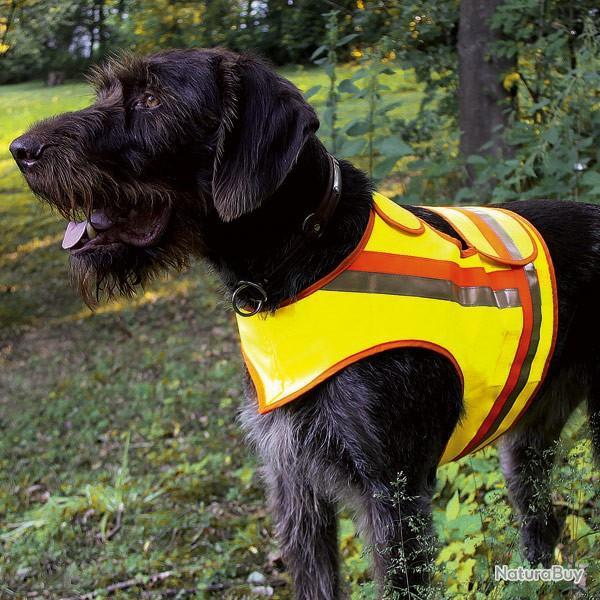 Gilet de signalisation pour petits chiens d'arrt