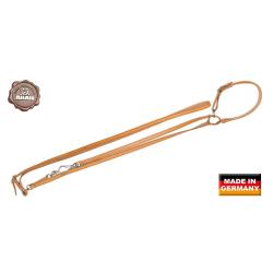 Laisse AKAH pour chien avec collier de 14 mm beige