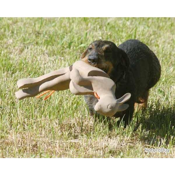 li�vre d"entrainement pour chien