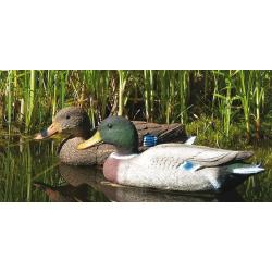 appelant canard col vert