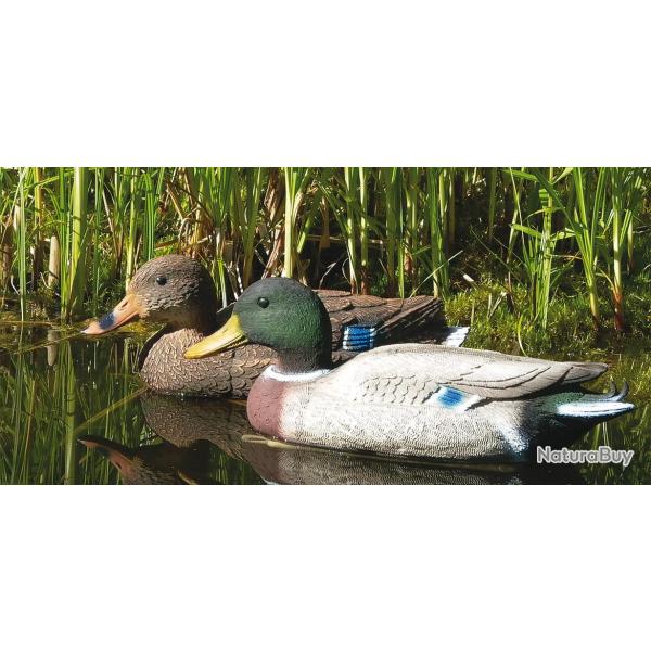 appelant canard col vert