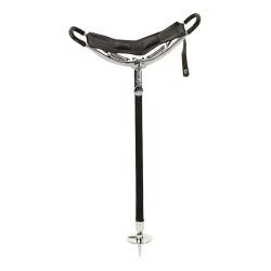 Canne - si&egrave;ge