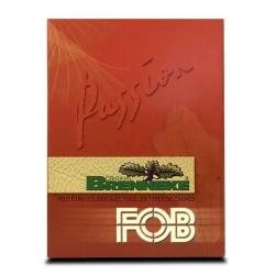 10 Cartouches FOB Passion Brenneke Cal.20