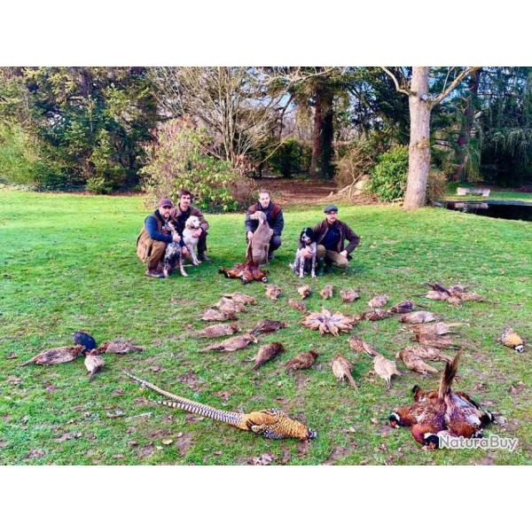 Chasse du petit gibier devant soi en Sologne.