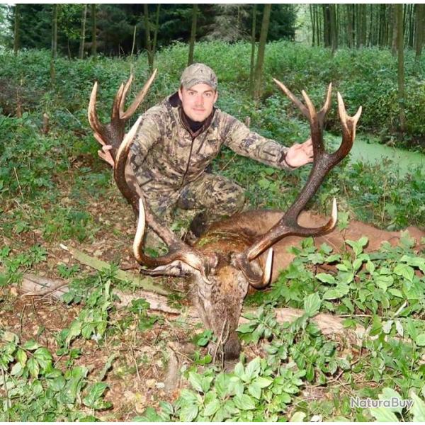 Chasse � l'approche grands gibiers Sologne .