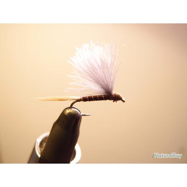 Mouches s�ches �mergentes CDC bleu corps violet