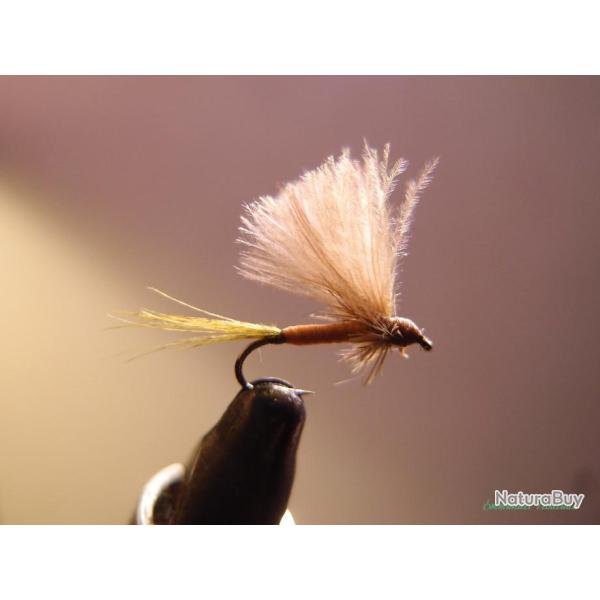 Mouches s�ches �mergentes CDC roux corps jaune