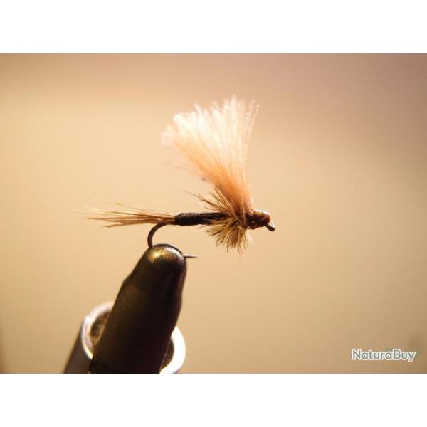 Mouches s�ches �mergentes CDC roux corps noir