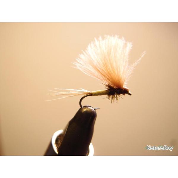 Mouche s�che �mergente CDC roux corps olive