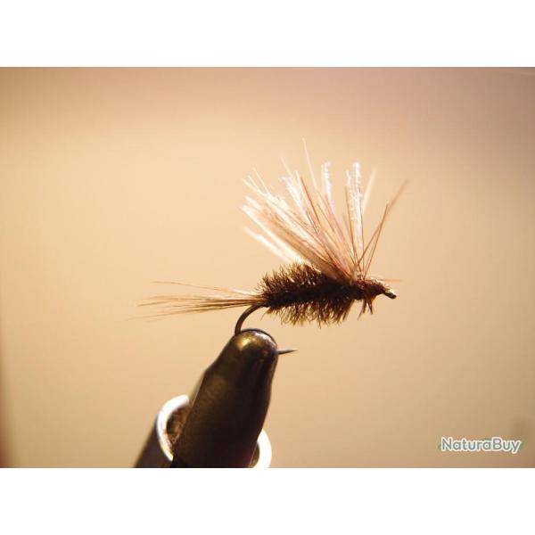 Mouche s�che �mergente flanc de cane corps paon