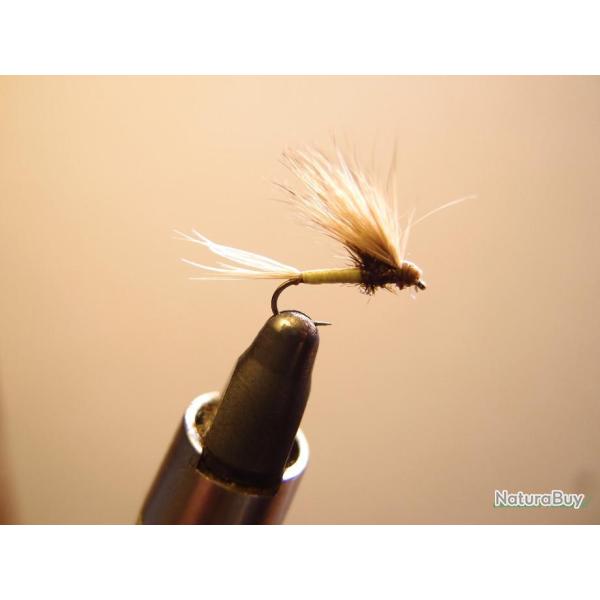 Mouche s�che �mergente li�vre corps olive