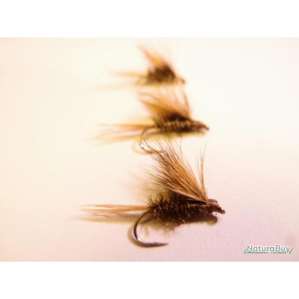 Lot de 3 �mergentes li�vre corps paon