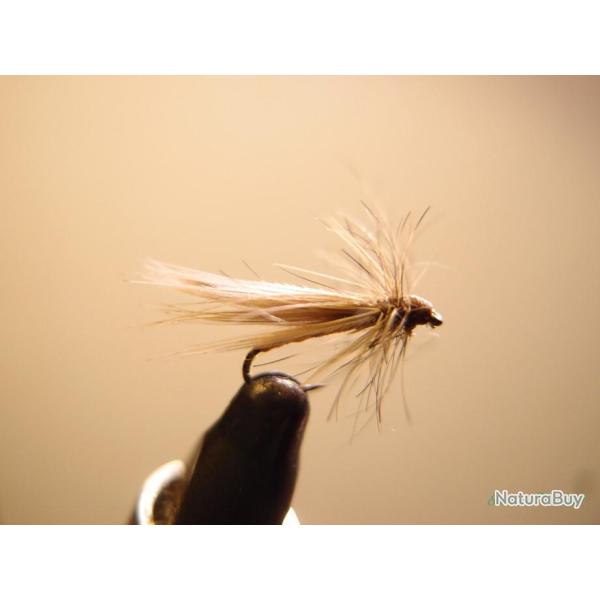 Sedge clair �mergent li�vre