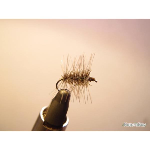 Palmer gris corps paon