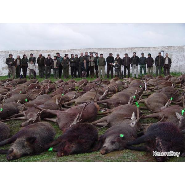 Monteria VIP en Espagne saison 2023/2024 :