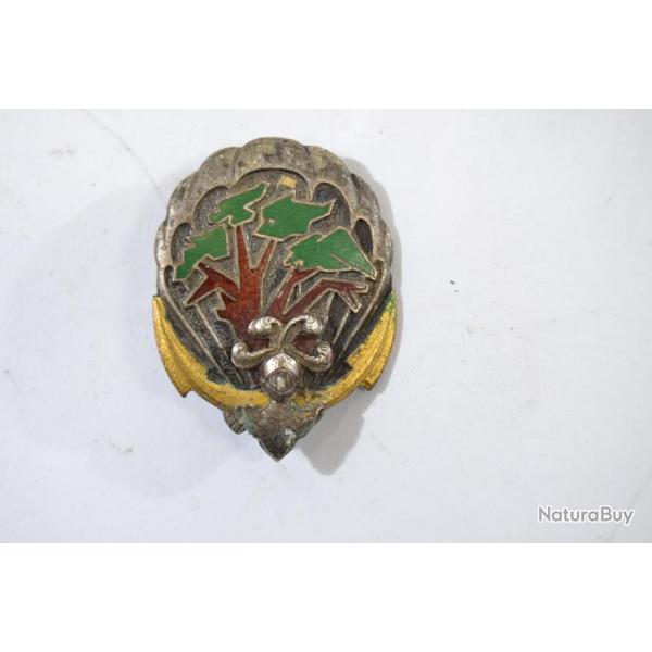 Insigne 1er Rgiment Interarmes d'Outre Mer, baobab stylis fonc. DRAGO G2064