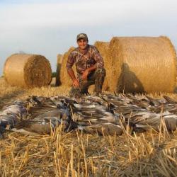S&eacute;jour chasse du pigeon en Angleterre / 2 ou 3 jours
