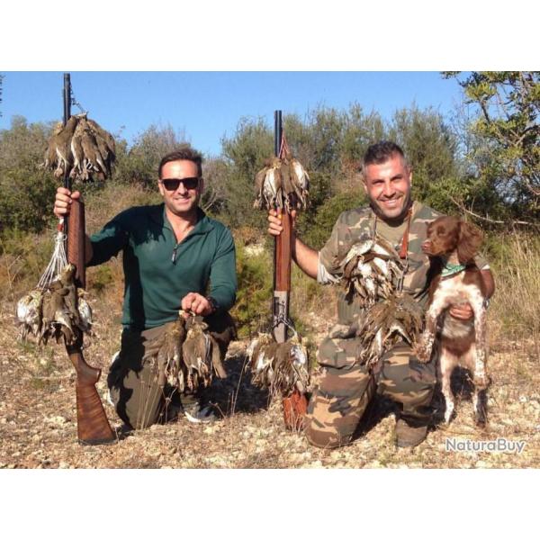 Chasse de la grive en Espagne .