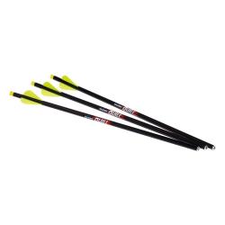 3 Fl&egrave;ches Quill Carbone lumineuses 16.5 pouces pour arbal&egrave;tes Excalibur