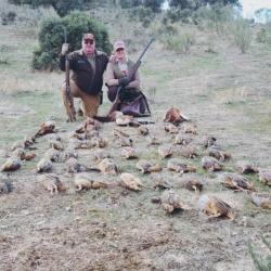 Chasse en Epagne du petit gibier devant soi : 3 jours / 4 nuits