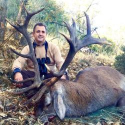 Chasse &agrave; l'approche du cerf en Espagne .