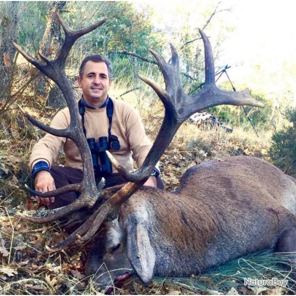 Chasse � l'approche du cerf en Espagne .
