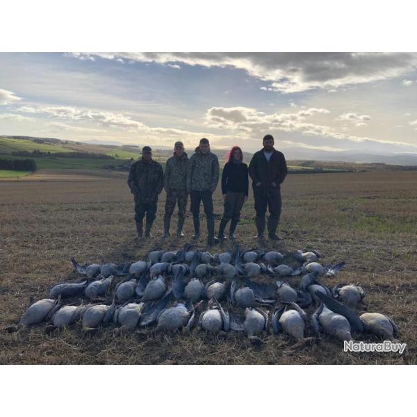 Chasse des oies en Ecosse : 3 jours / 4 nuits