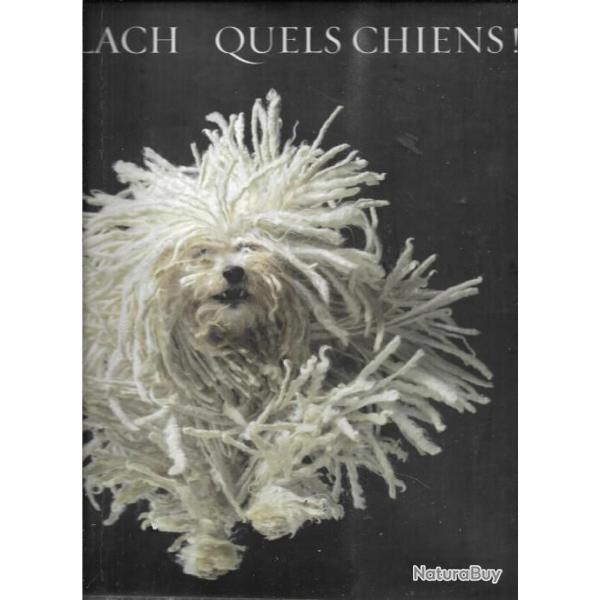 quels chiens ! de tim flach , livre photos +  les chiens le monde merveilleux des animaux en photos