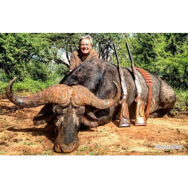 Safari chasse en Afrique du Sud � la carte.