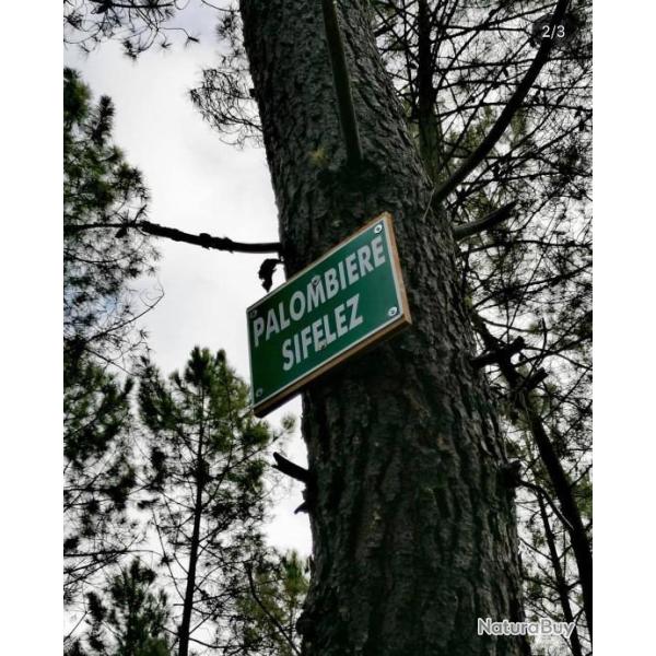 Chasse palombi�re Sologne , 2 jours / 3 nuits tout compris .