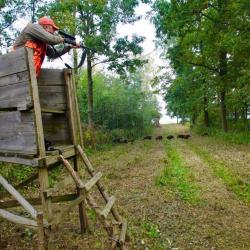 Chasse grand gibier Sologne - Journ&eacute;es 2026/2027 :