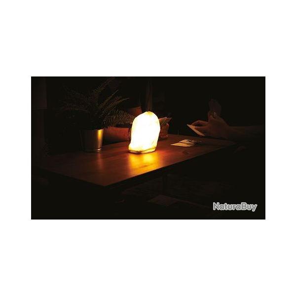 lanterne androm�de